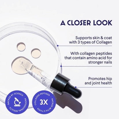 Gotas de Colágeno 3X: Apoyo para la piel y las articulaciones