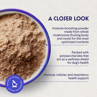 Polvo de hongo cola de pavo para perros