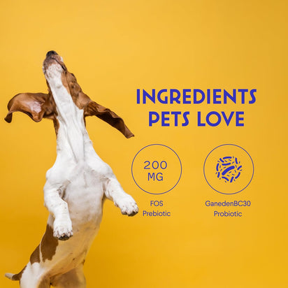 Masticables probióticos diarios: salud intestinal y digestión