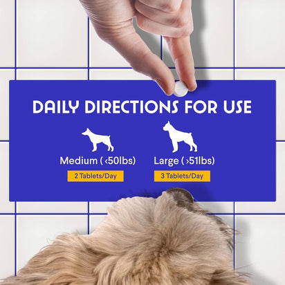 Masticables de vitamina B12 + folato