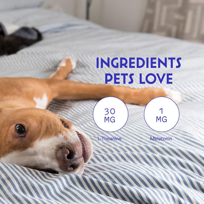 Gotas de melatonina: calma y serenidad