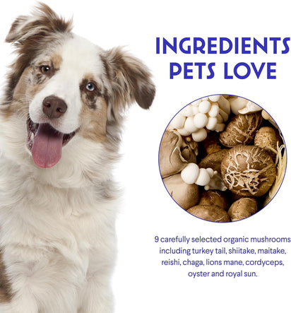 Complejo de Hongos – Salud Inmune y Celular