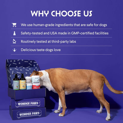 Liquid Glucosamine For Dogs (16oz)