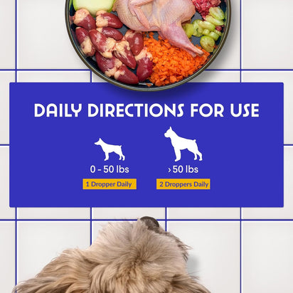 Milk Thistle Drops – Liver & Kidney Support