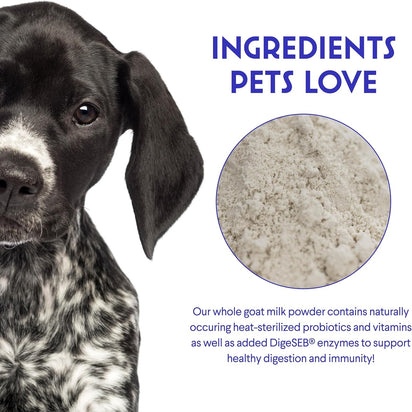 Leche de cabra en polvo