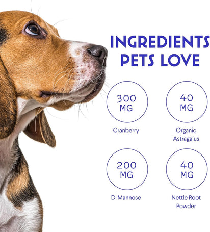 Gotas para los riñones y las vías urinarias