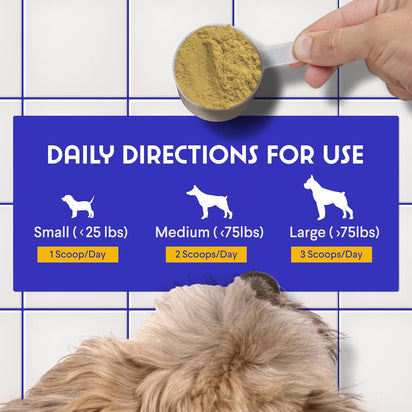 Polvo de caldo de huesos