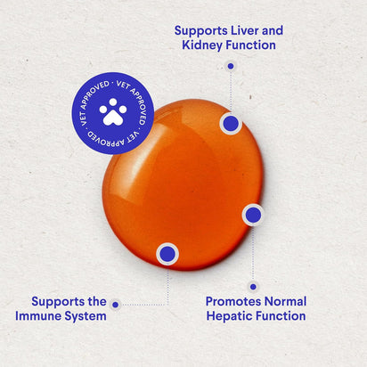 Milk Thistle Drops – Liver & Kidney Support