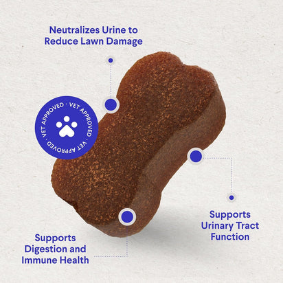 Grass Hero – Masticables para el césped