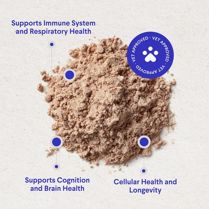 Complejo de Hongos – Salud Inmune y Celular