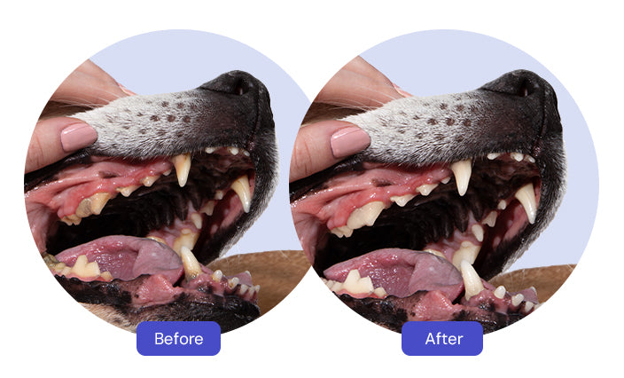 Say Goodbye to Stinky Breath and Yellow Teeth!