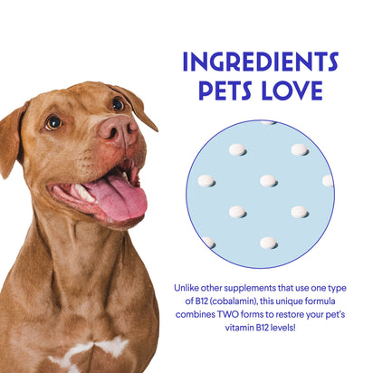 Masticables de vitamina B12 + folato