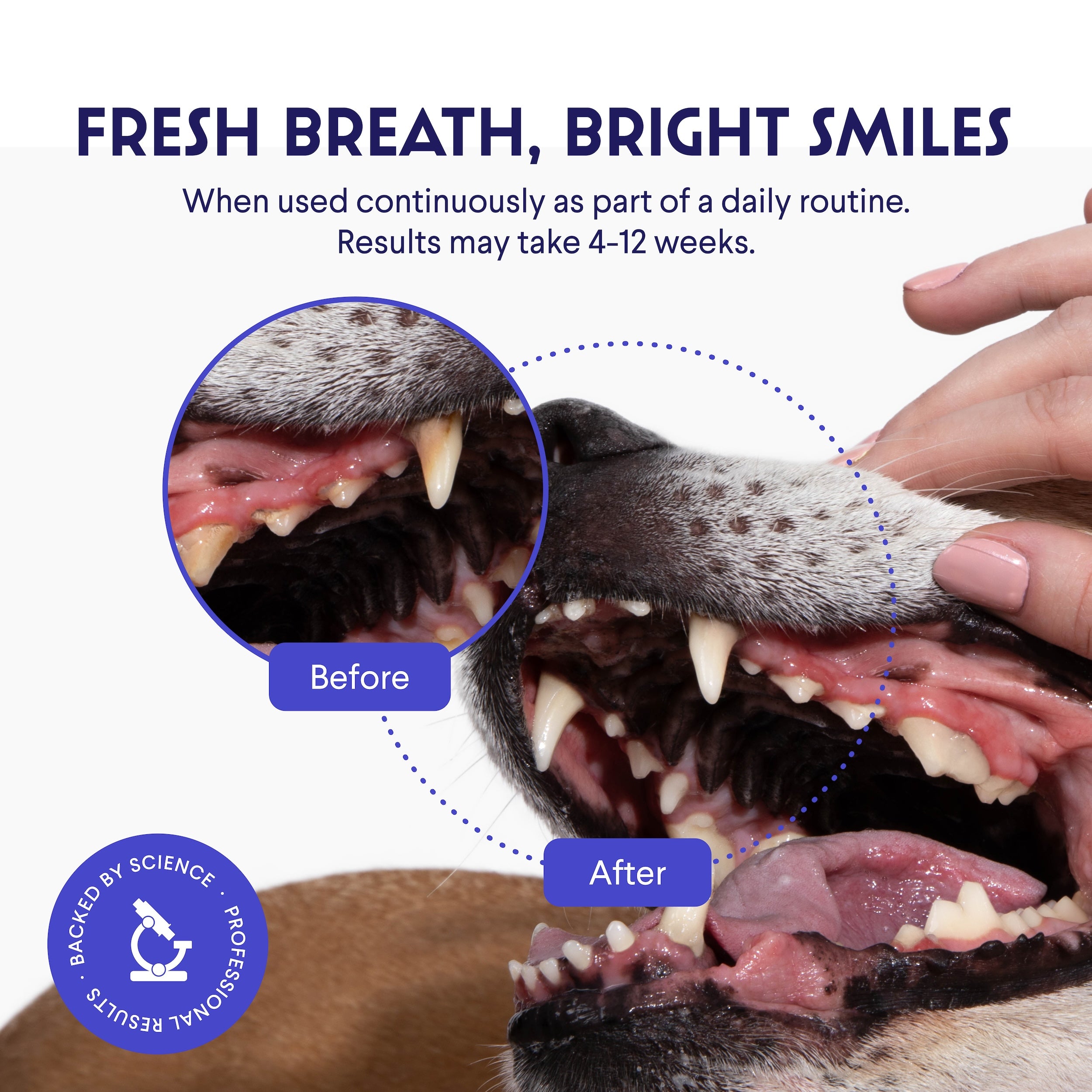 Say Goodbye to Stinky Breath and Yellow Teeth!