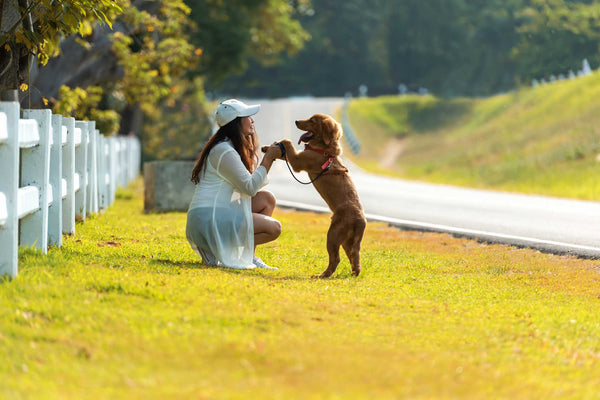 How Pets Positively Impact Your Overall Well-Being