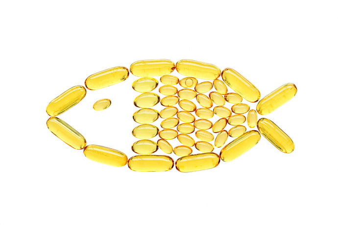 Fish Oil for Dogs: A Guide