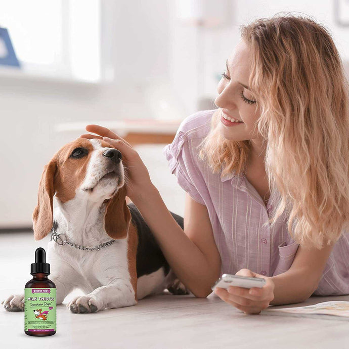 Milk Thistle for Dogs: A Guide