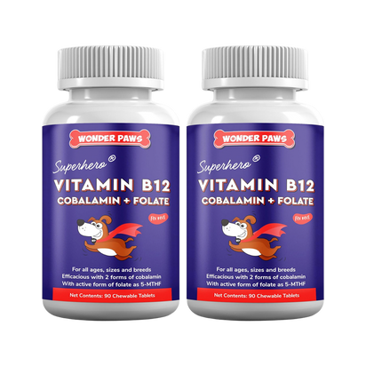 Vitamin B12 + Folate Chewables (2x)