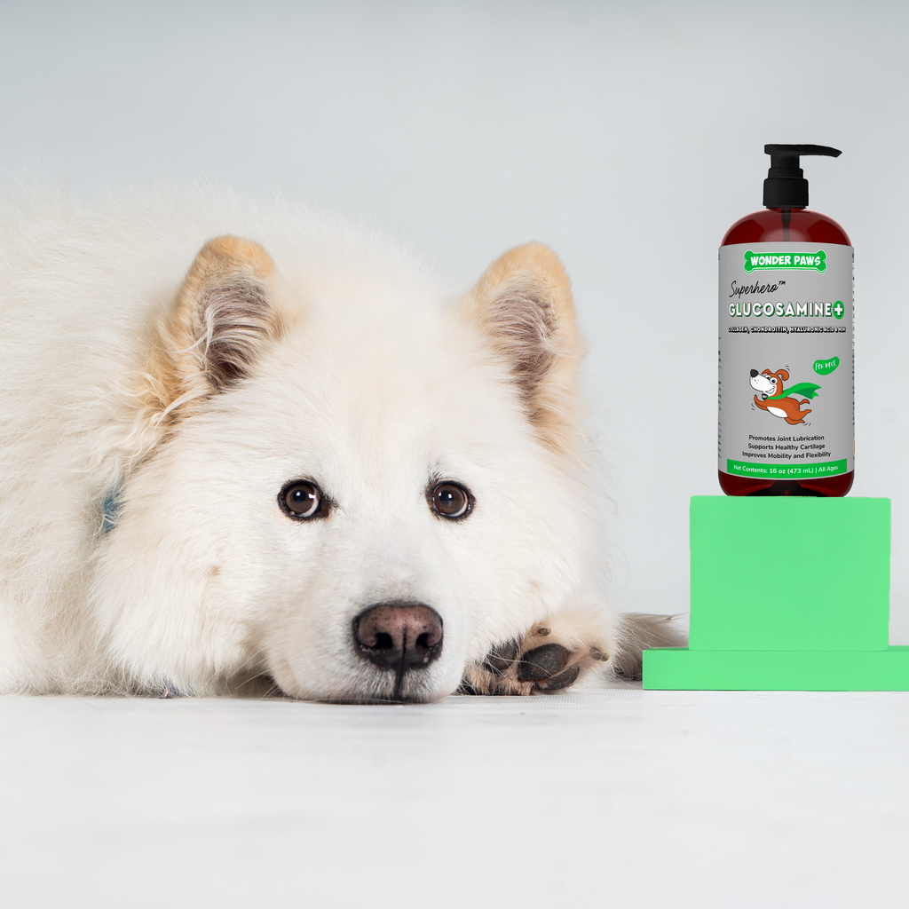 Liquid glucosamine for 2024 dogs