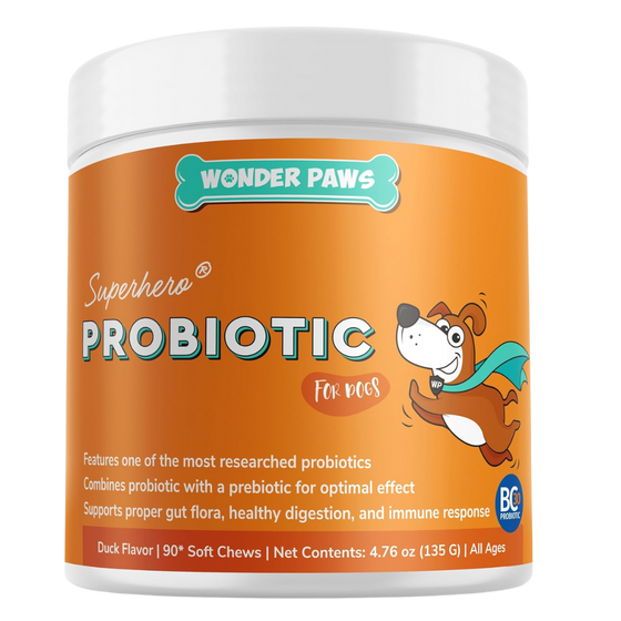 Daily Probiotic Chews Gut Health Digestion Wonder Paws