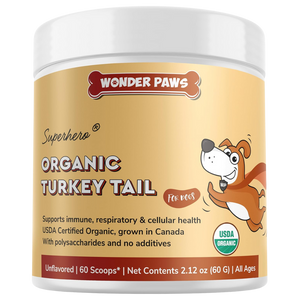 Gua para principiantes sobre la L-carnitina Wonder Paws Gua para principiantes sobre la L-carnitina Wonder Paws