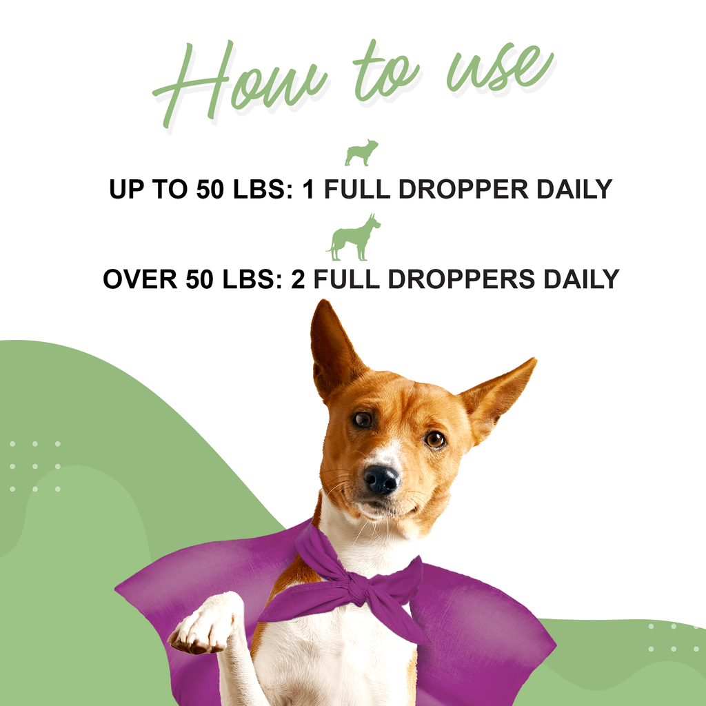 Silymarin for dogs hotsell